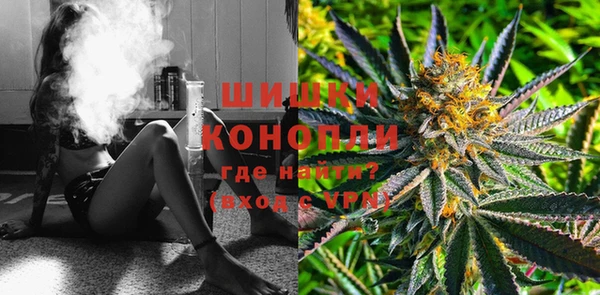 индика Балахна