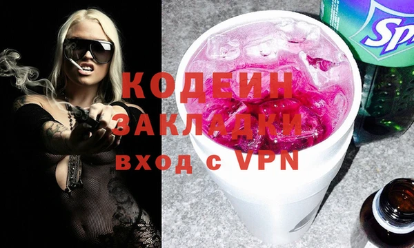 индика Балахна