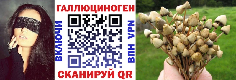 Псилоцибиновые грибы Psilocybine cubensis Наро-Фоминск